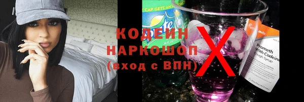индика Алзамай
