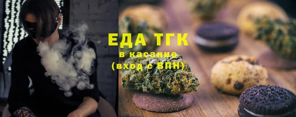 индика Алзамай