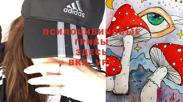эйфоретик Алексин