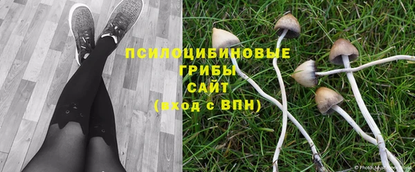 а пвп мука Алексеевка