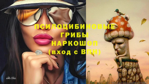 индика Алзамай